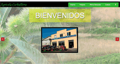 Desktop Screenshot of agricolacarballeira.com