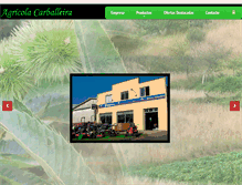 Tablet Screenshot of agricolacarballeira.com